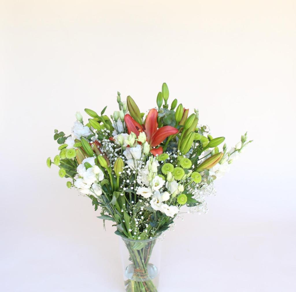 הפרחים של דליה הפרחים של דליה