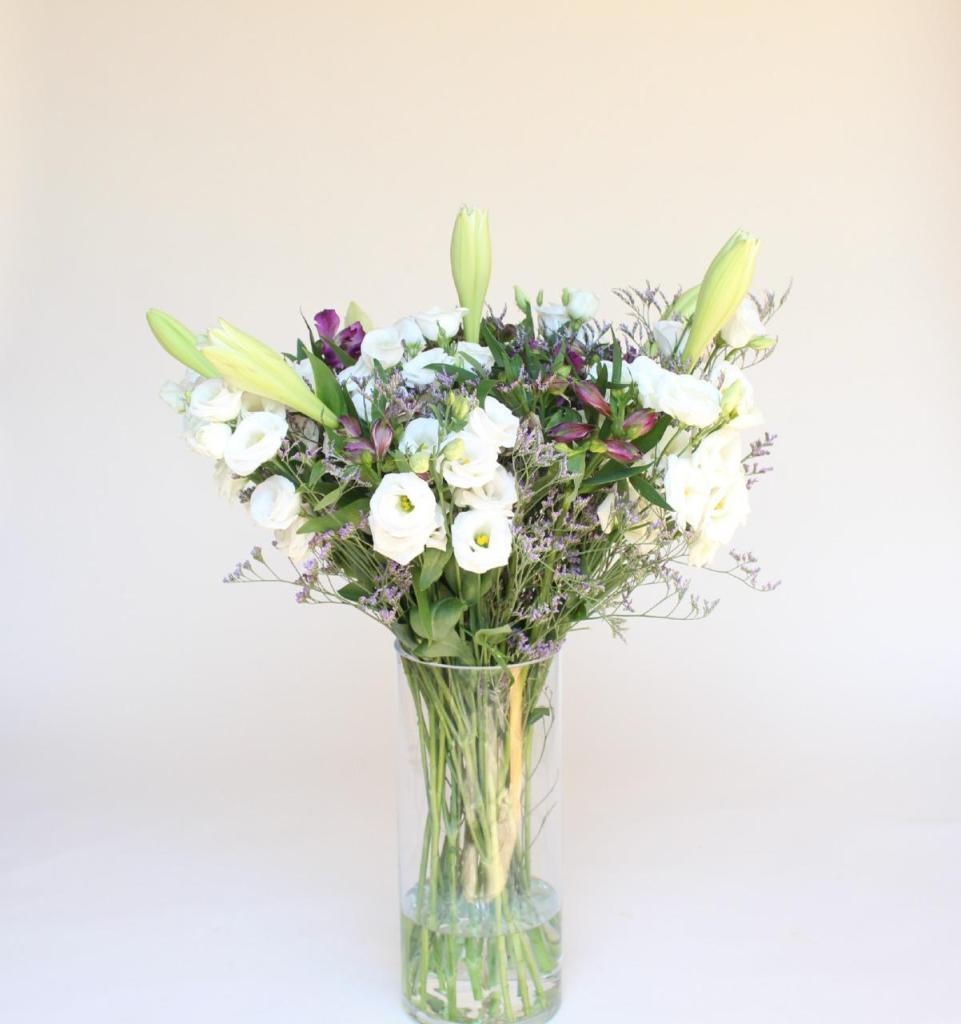 הפרחים של דליה הפרחים של דליה