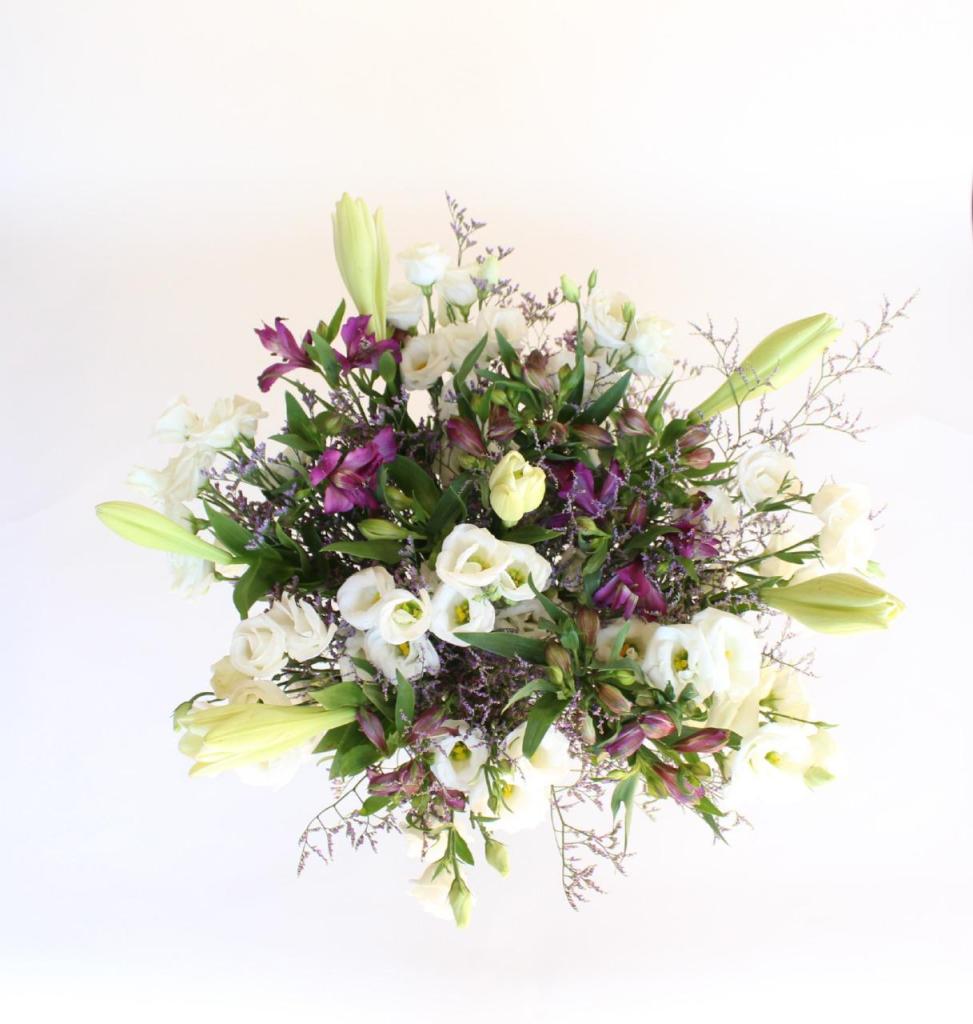 הפרחים של דליה הפרחים של דליה