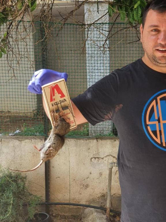 טל שירותי הדברה טל שירותי הדברה