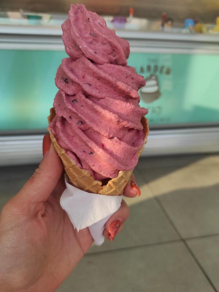 הגינה הגינה