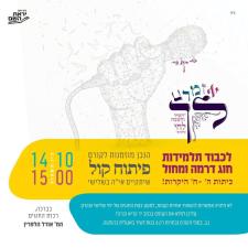 סטודיו feel