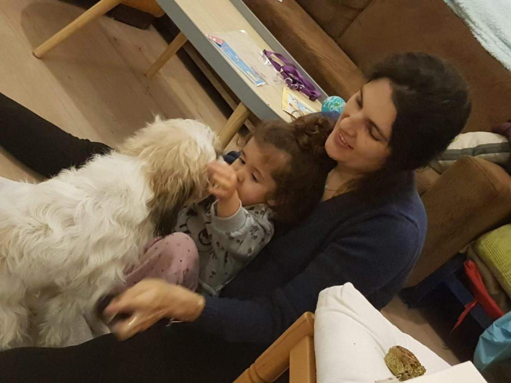 ד"ר מצליח vet ד"ר מצליח vet