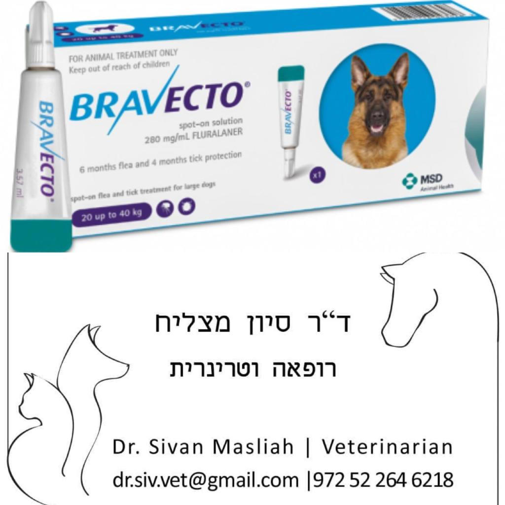 ד"ר מצליח vet ד"ר מצליח vet