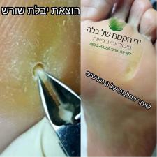 ידי הקסם של בלה