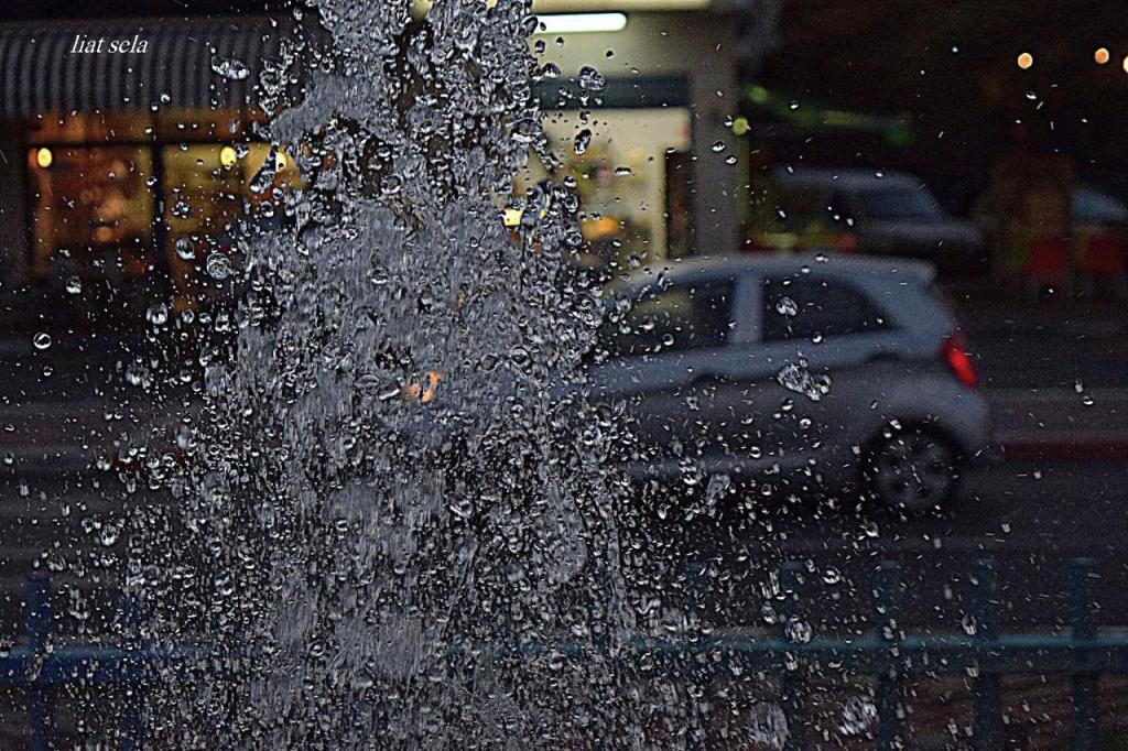 ליאת סלע ליאת סלע