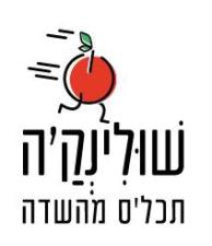 שולינק'ה