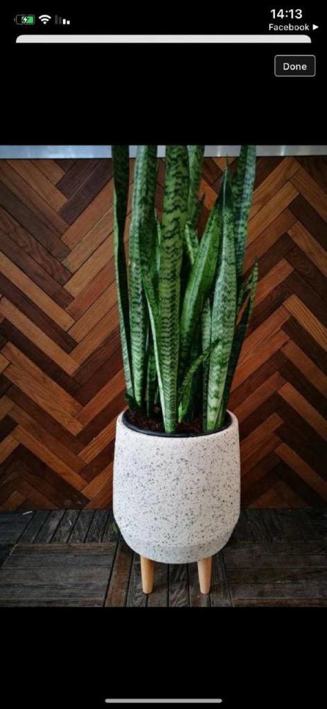 משק 50 אורבן משק 50 אורבן