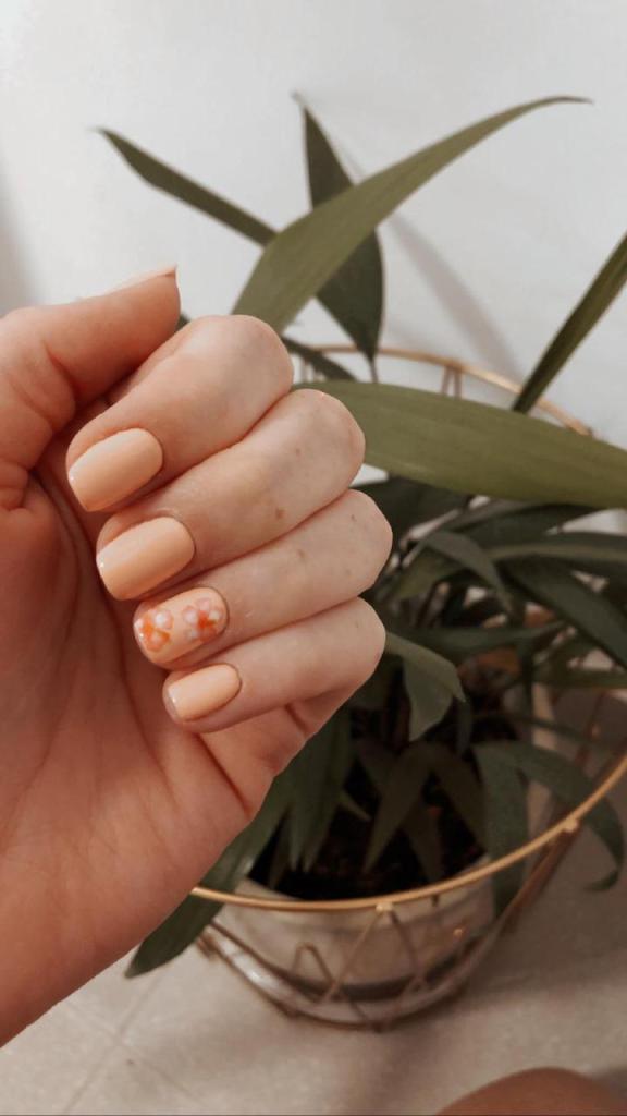 ערבה שחם ערבה שחם