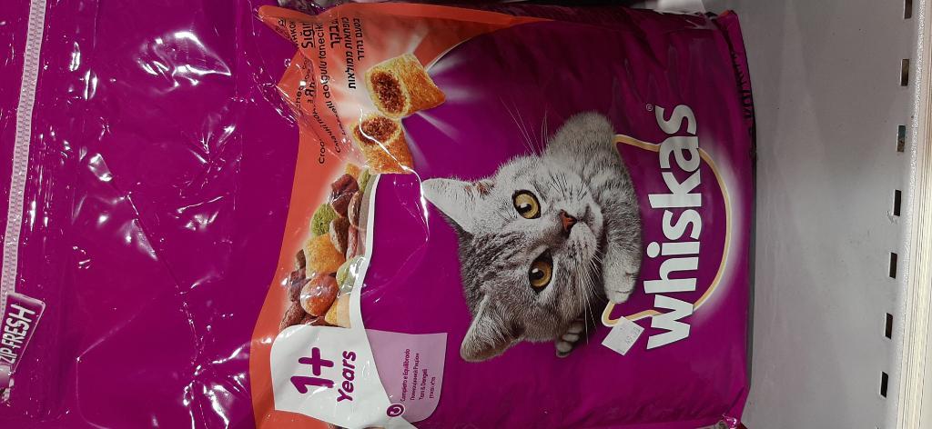 אנימל אאוטלט אנימל אאוטלט