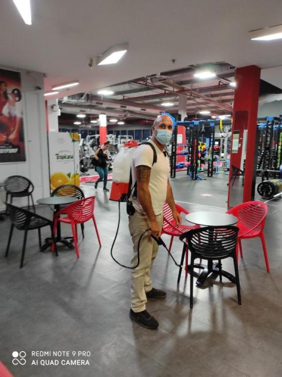 מישל שרותי הדברה מישל שרותי הדברה