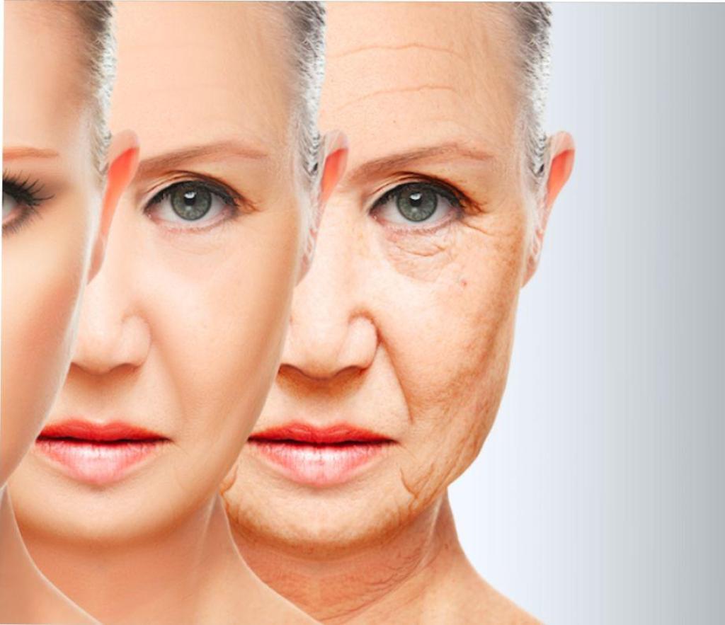 ליב ביוטי אקדמי ליב ביוטי אקדמי