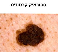 ליב ביוטי אקדמי