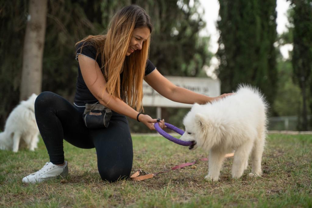 מאיה דון מאיה דון