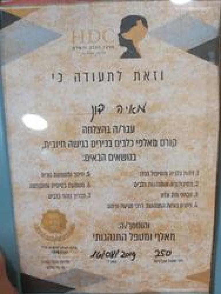 מאיה דון מאיה דון