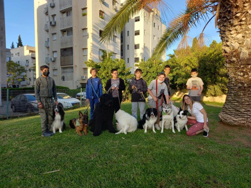 מאיה דון מאיה דון