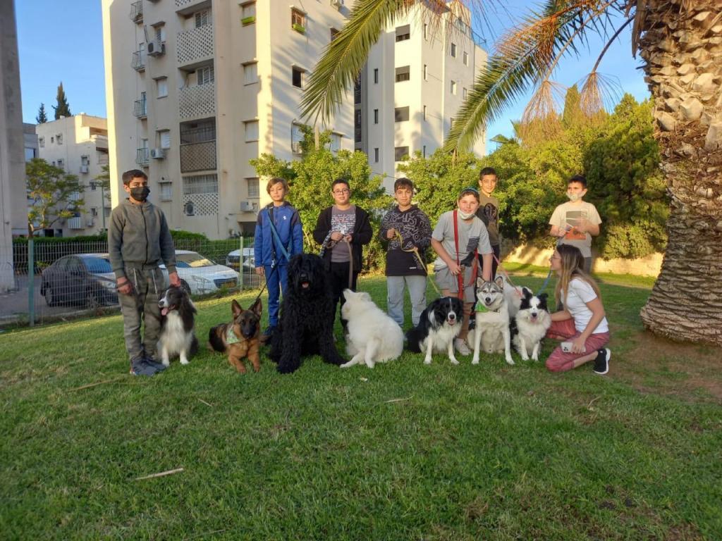 מאיה דון מאיה דון