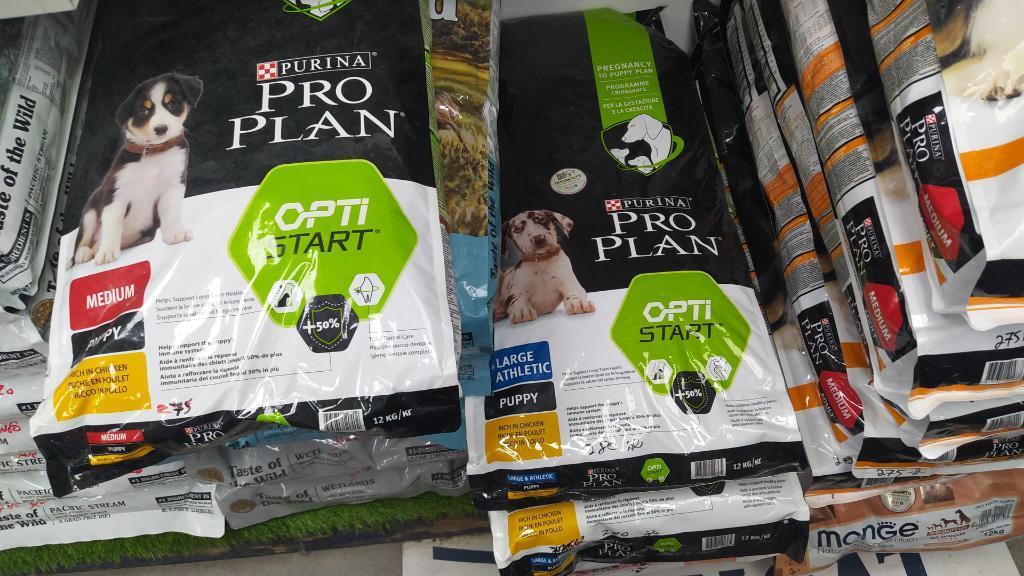 דוגס אנד פטס ישראל דוגס אנד פטס ישראל