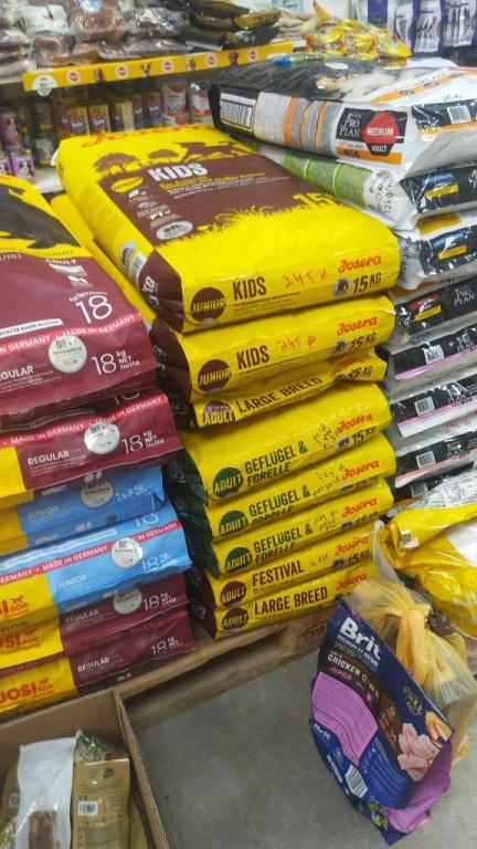 דוגס אנד פטס ישראל דוגס אנד פטס ישראל