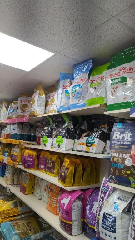 דוגס אנד פטס ישראל דוגס אנד פטס ישראל