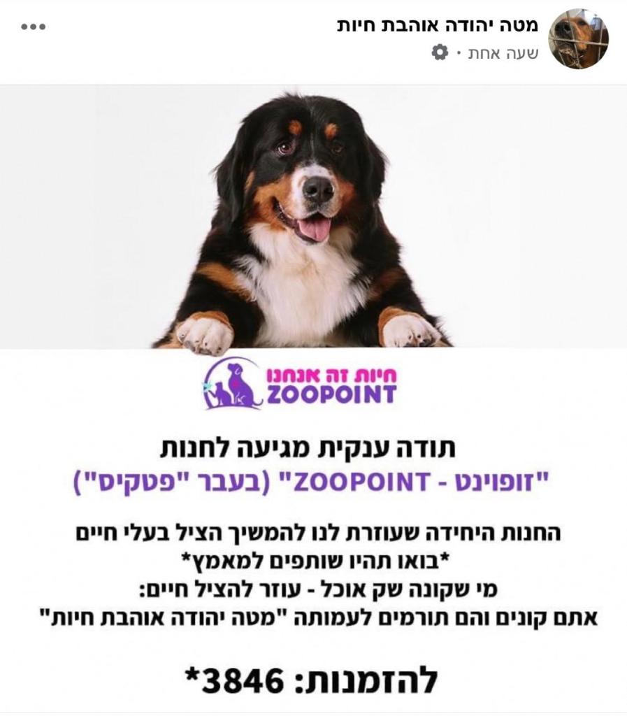 זופוינט זופוינט