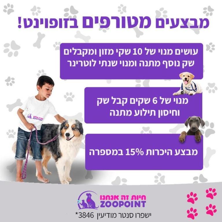 זופוינט זופוינט