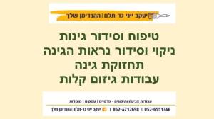 יעקב ייני גד תלם