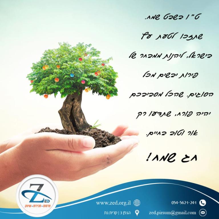 פרסום ZED פרסום ZED