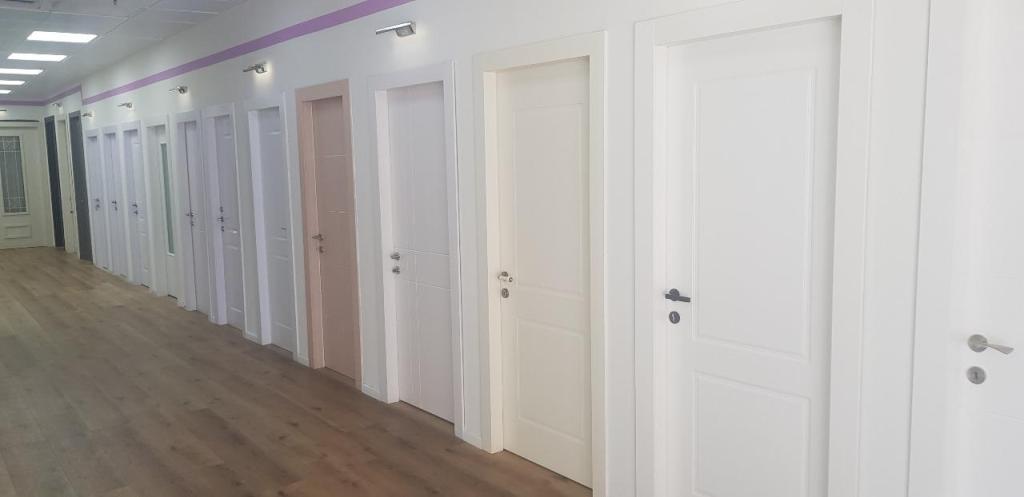 דלתות ניקנור דלתות ניקנור