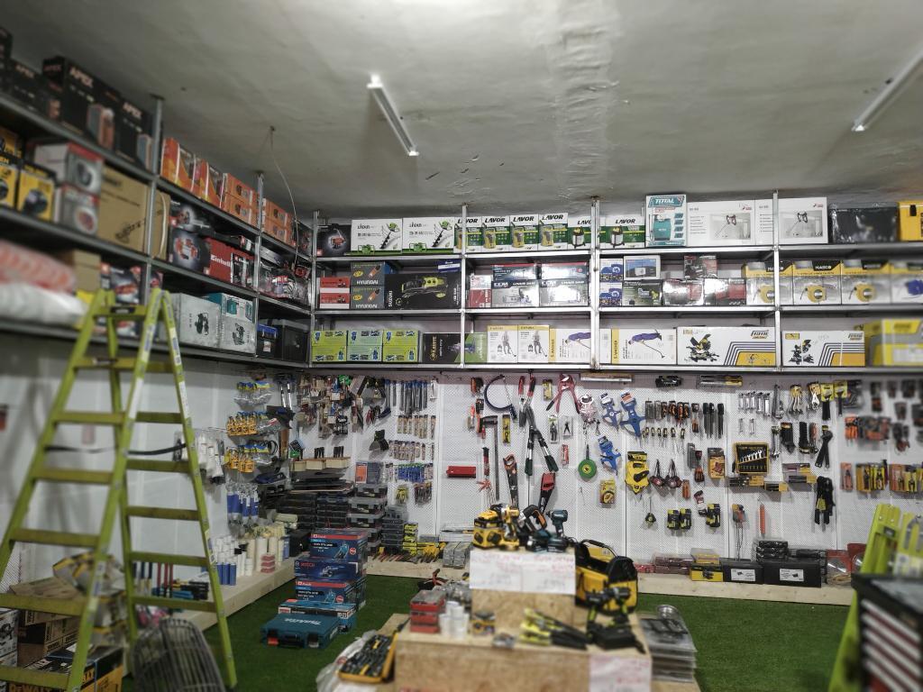 ממלכת העץ והצבע ממלכת העץ והצבע