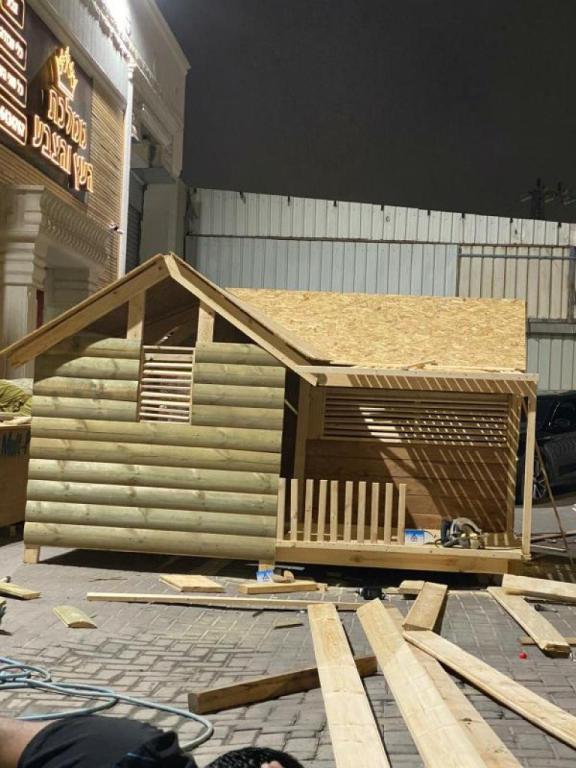 ממלכת העץ והצבע ממלכת העץ והצבע