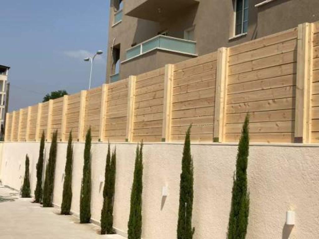 ממלכת העץ והצבע ממלכת העץ והצבע