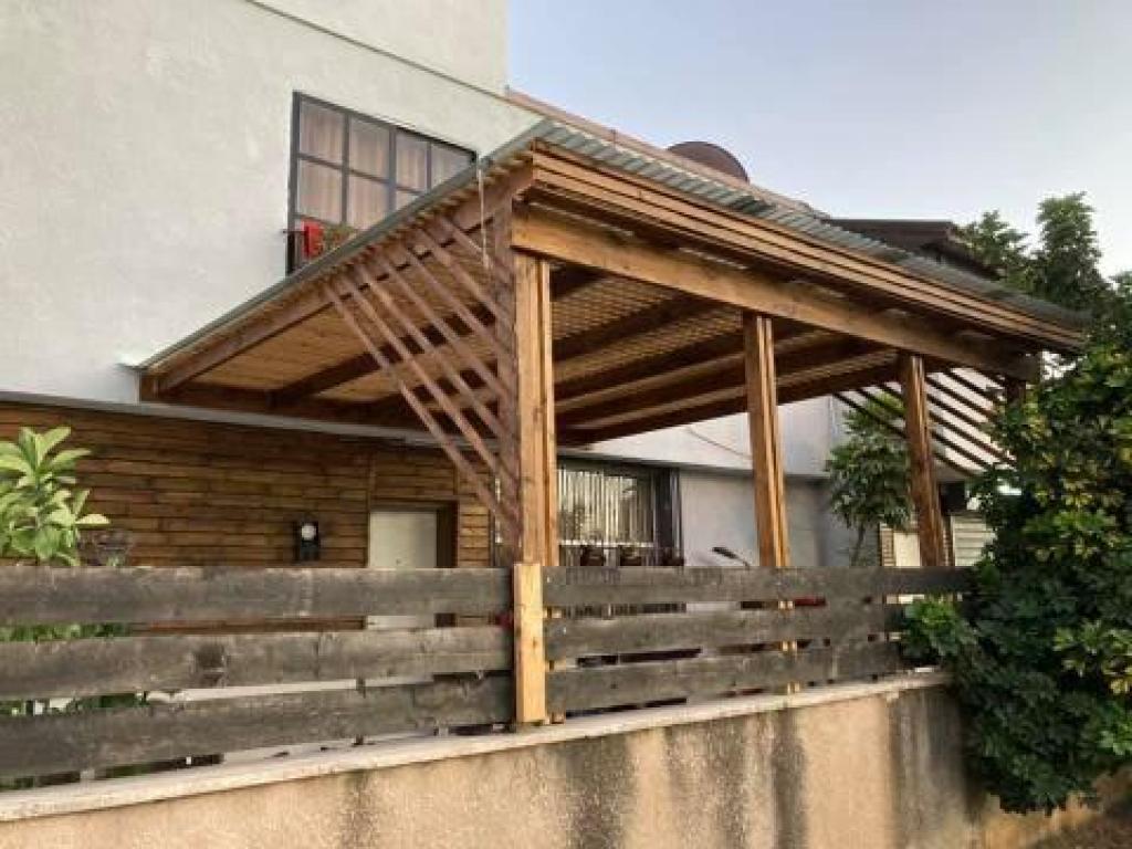 ממלכת העץ והצבע ממלכת העץ והצבע