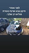 דודו גמליאלי