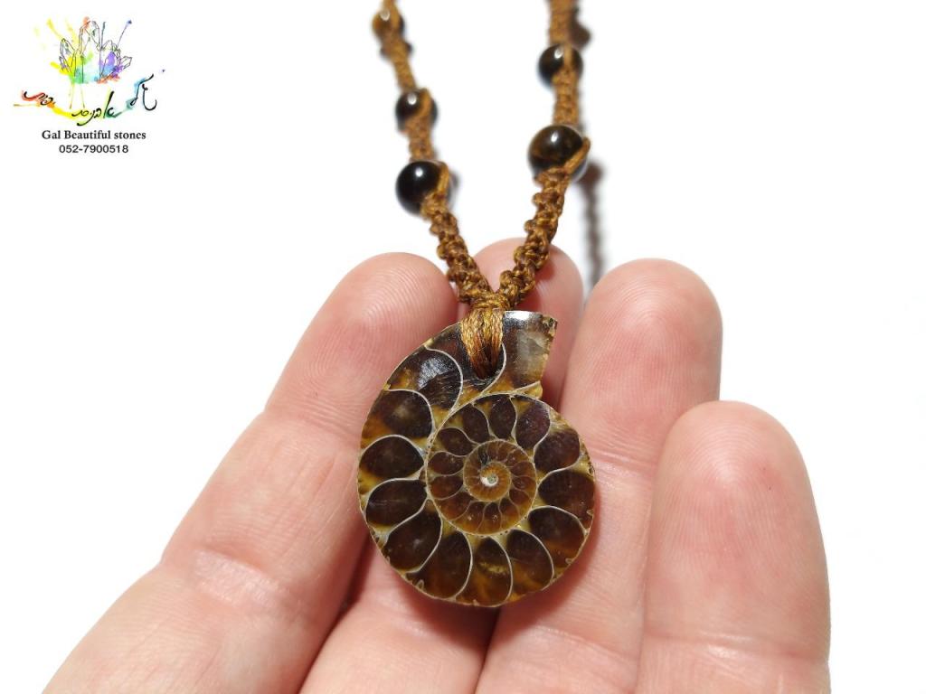 גל אבנים יפות גל אבנים יפות