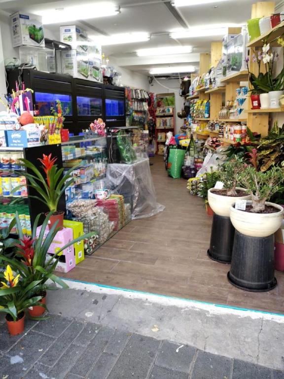 אקזוטיקה אקזוטיקה