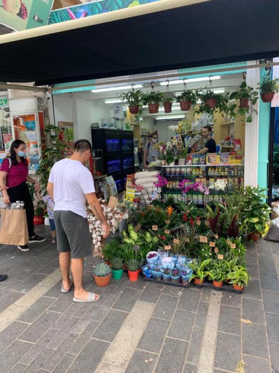 אקזוטיקה אקזוטיקה