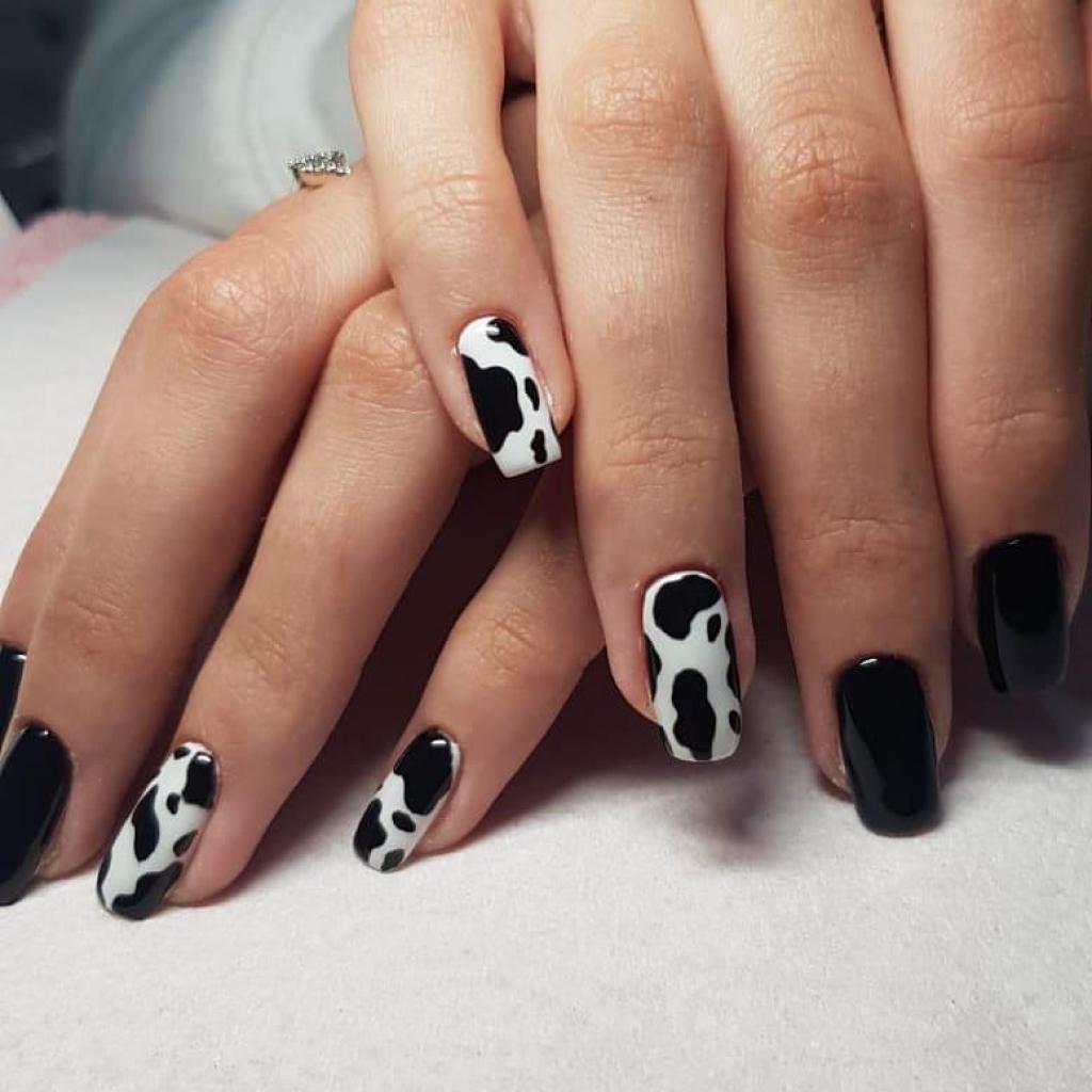 תמי ציפורניים תמי ציפורניים