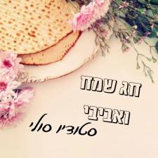סולי חבני