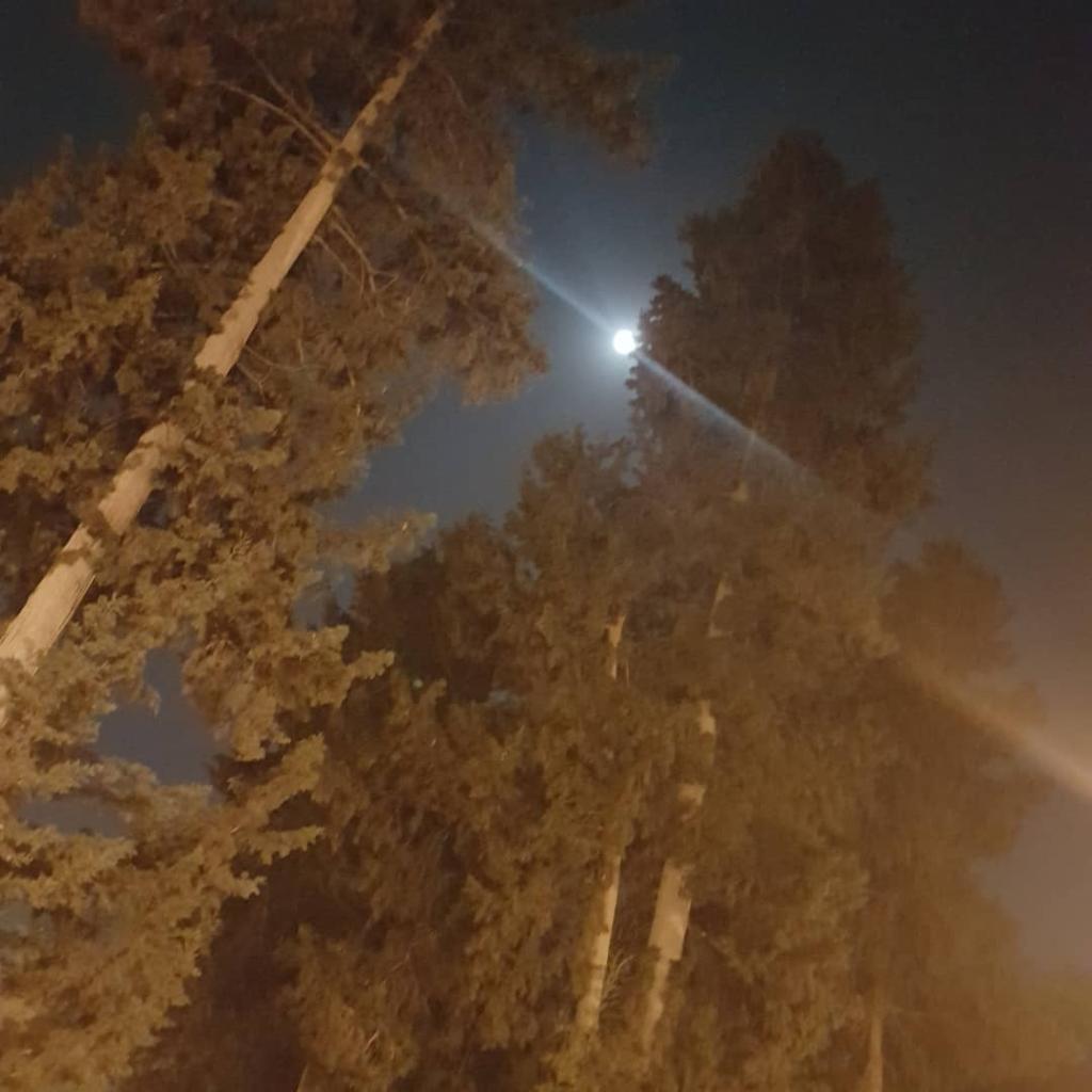 פיניקס פן ממעמקים פיניקס פן ממעמקים