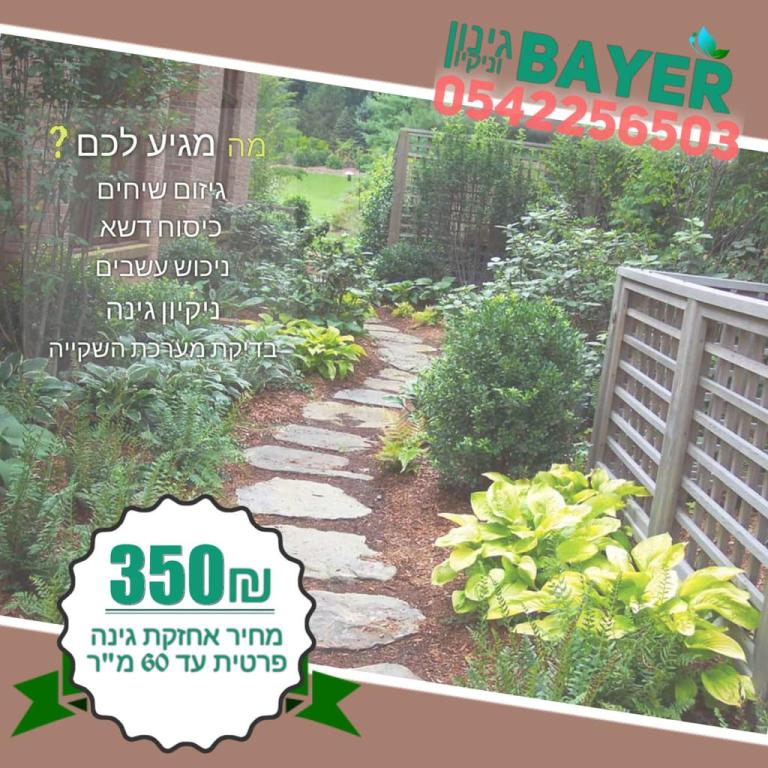 באייר גינון וניקיון באייר גינון וניקיון