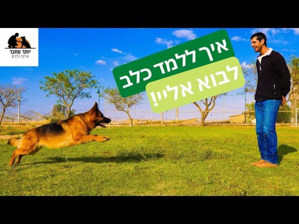 יותר מחבר יותר מחבר