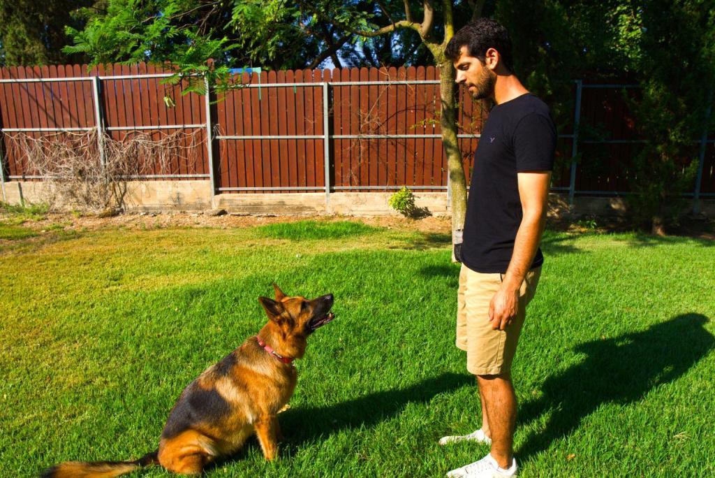 יותר מחבר יותר מחבר