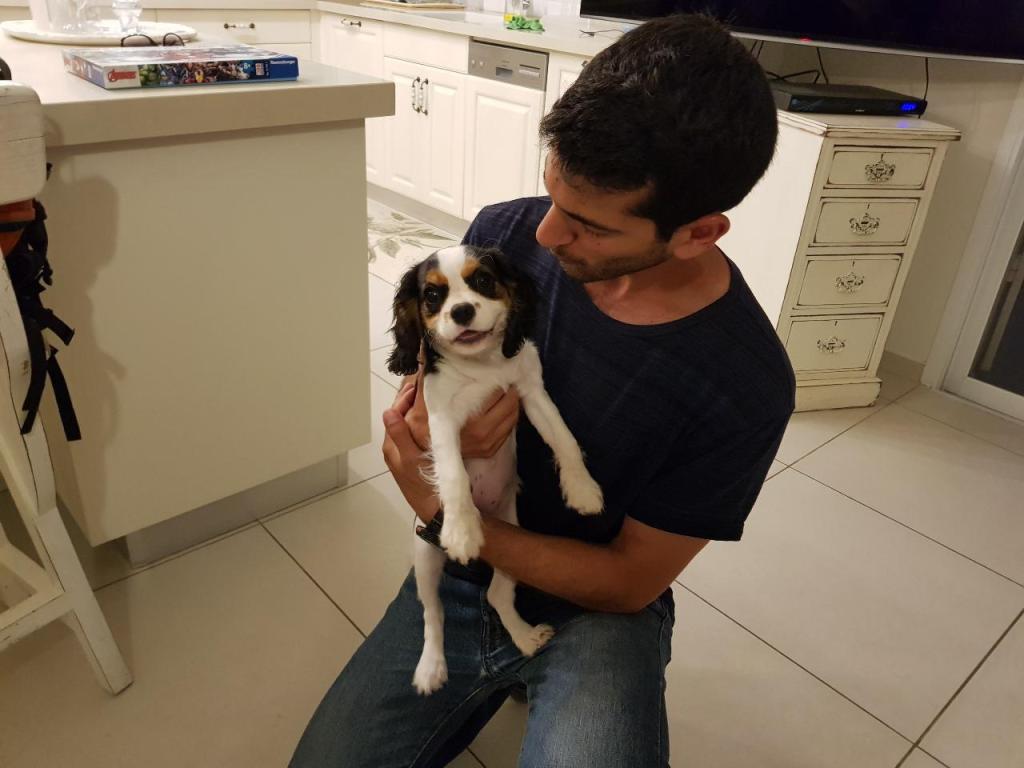 יותר מחבר יותר מחבר