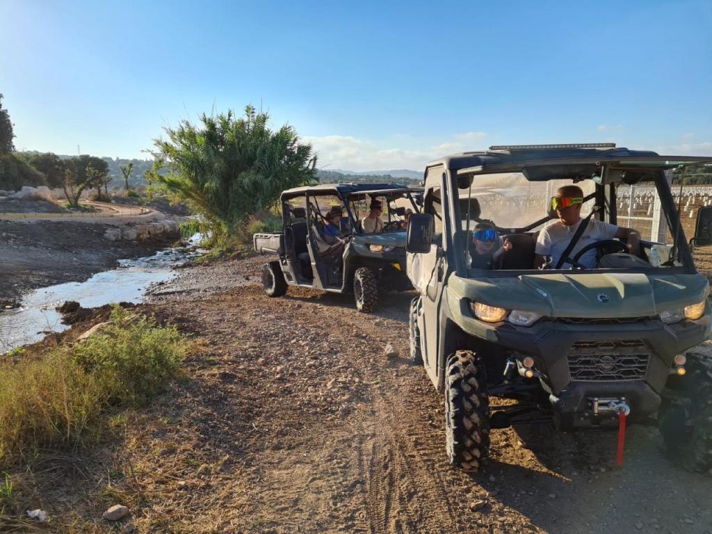 ריינג'רים אחוזת ציפורי ריינג'רים אחוזת ציפורי