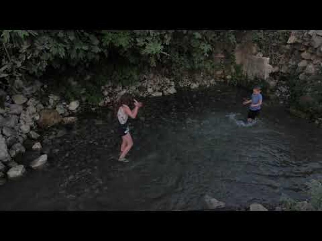 ריינג'רים אחוזת ציפורי ריינג'רים אחוזת ציפורי