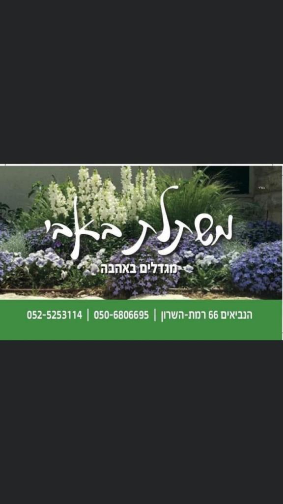 משתלת באבי משתלת באבי