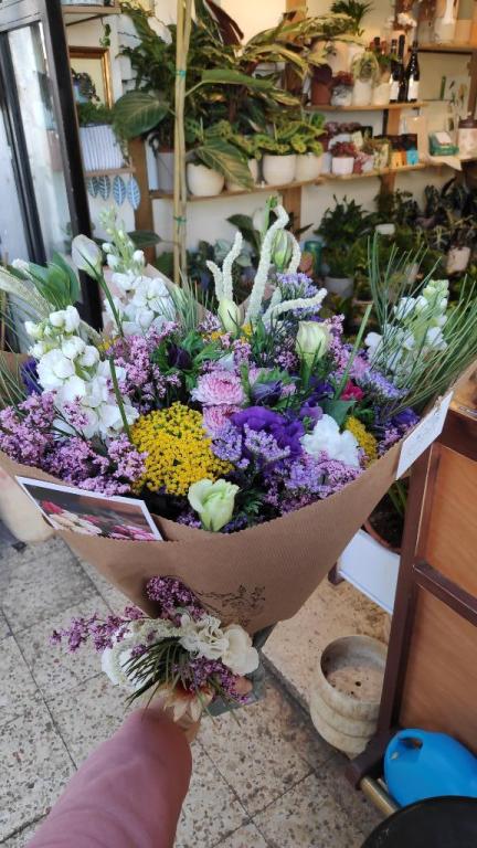 Root flowers & plants Root flowers & plants