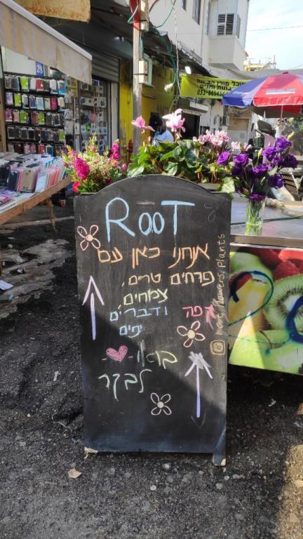 Root flowers & plants Root flowers & plants