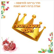 ראש גדול משחק וחינוך